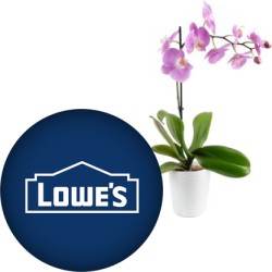 image or logo for deal