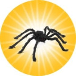 image or logo for deal