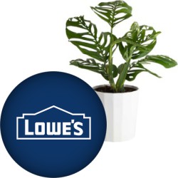 image or logo for deal