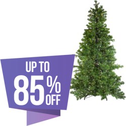 image or logo for deal