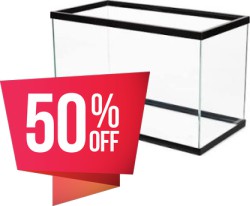 Save 50% off on Select Open-Glass Aquarium Tanks at Petco through August 29th
