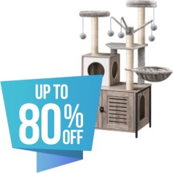 Pet Essentials Clearance Deals at Wayfair: Up to 80% off 100s of Items for Pets