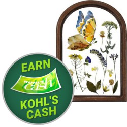 Save up to 50% off Wall Decor & Art Items + 20% to 30% off + Earn Kohl's Cash