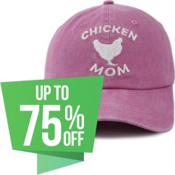 Labor Day Special: Up to 75% off on Hundreds of Women's Accessories at Amazon