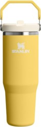 Stanley IceFlow 2.0 Flip Straw Tumbler with Handle, 30 oz., Select Colors - $24.00