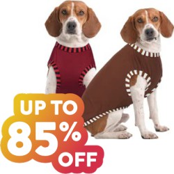 Up to 85% off on Hundreds of Supplies for Dogs at Amazon with Prime Shipping