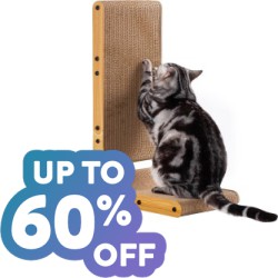 Save up to 60% off on Hundreds of Cat Supplies at Amazon w/ Free Prime Shipping