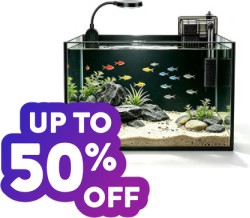 Save up to 50% on Select Fish & Aquatic Pets Supplies at Amazon with Prime S&H