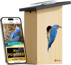 Birdfy Smart Bird House with Camera, Solar Panel & Remote App Access - $89.99