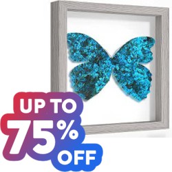 Save up to 75% off on Hundreds of Photo Albums, Frames & Accessories at Amazon