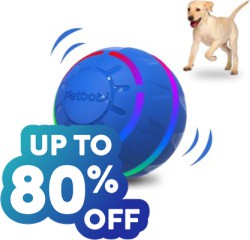 September Pet Supplies Clearance Deals at Walmart: Up to 80% off 100s of Items