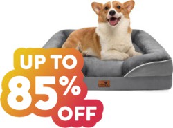 Save up to 85% off on Hundreds of Pet Supplies at Amazon with Prime Shipping