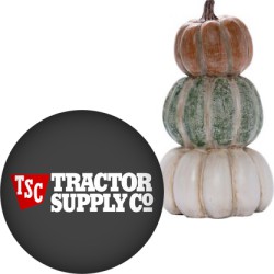 Up to 60% off on Select Red Shed Indoor and Outdoor Fall Decor at Tractor Supply